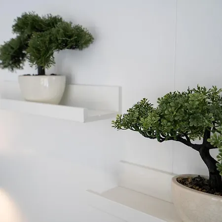 Ostseecamp Luebecker Bucht Casa Del Sol Mit Kostenfreier Saunanutzung 度假居