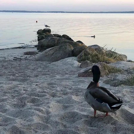 Ostseecamp Luebecker Bucht Casa Del Sol Mit Kostenfreier Saunanutzung